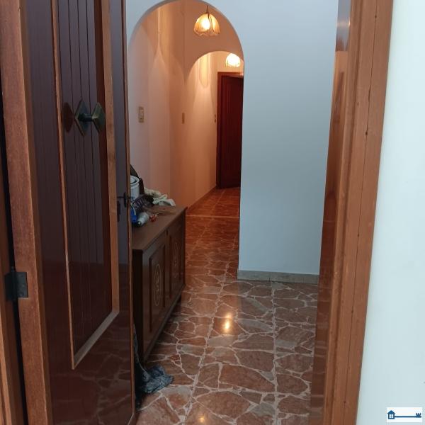 PHOTO-2024-08-08-20-26-41 (1).jpg